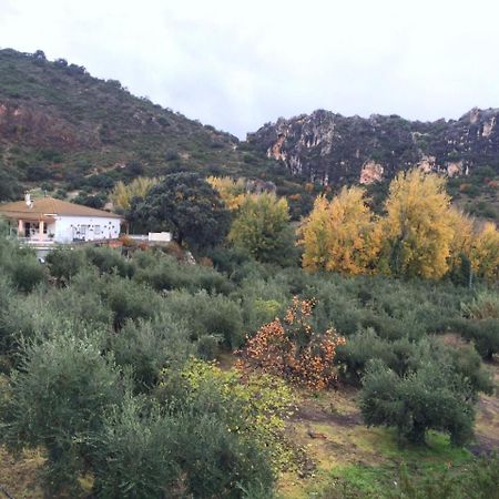 Villa La Quinta Priego de Córdoba Dış mekan fotoğraf