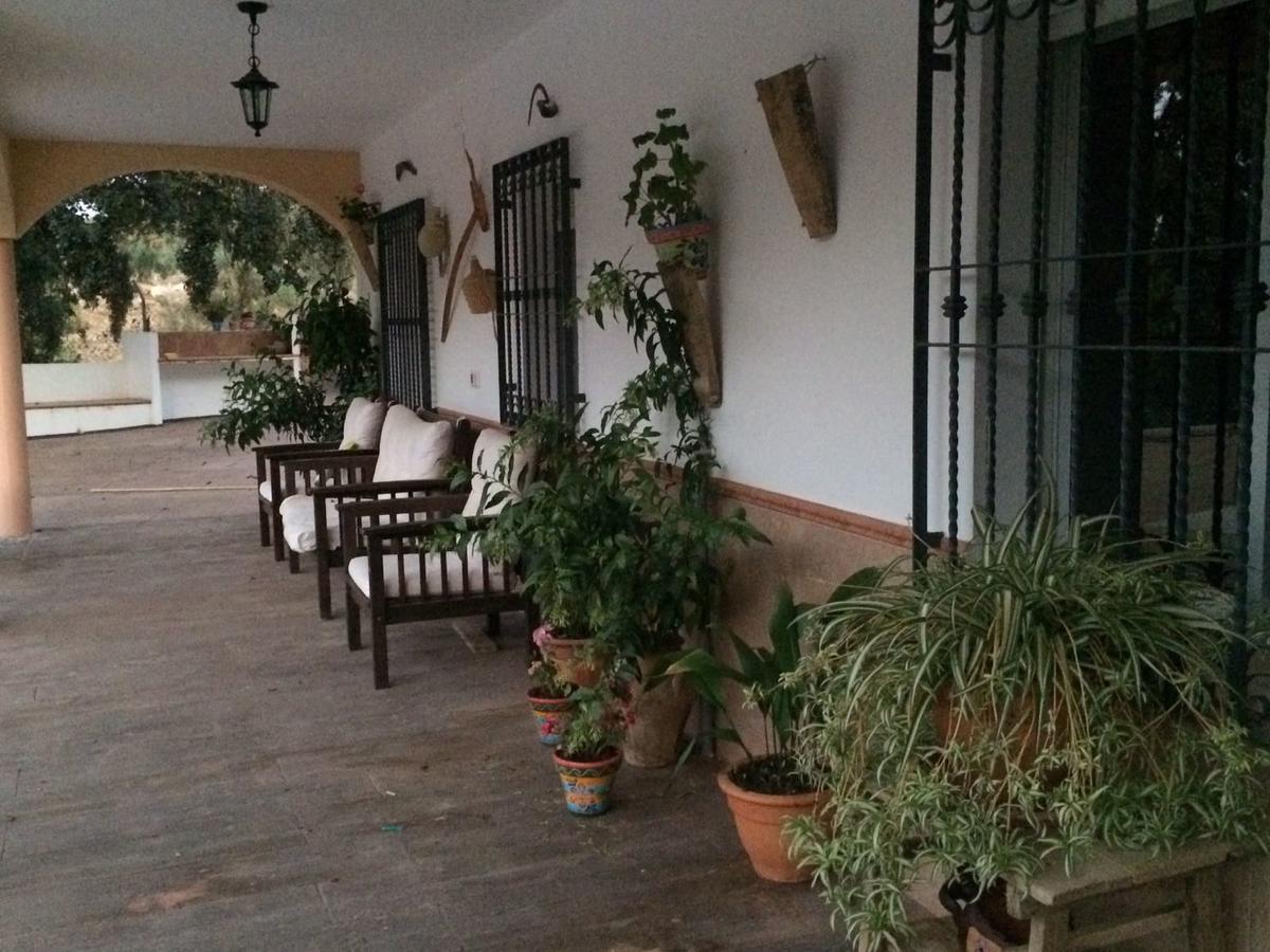 Villa La Quinta Priego de Córdoba Dış mekan fotoğraf
