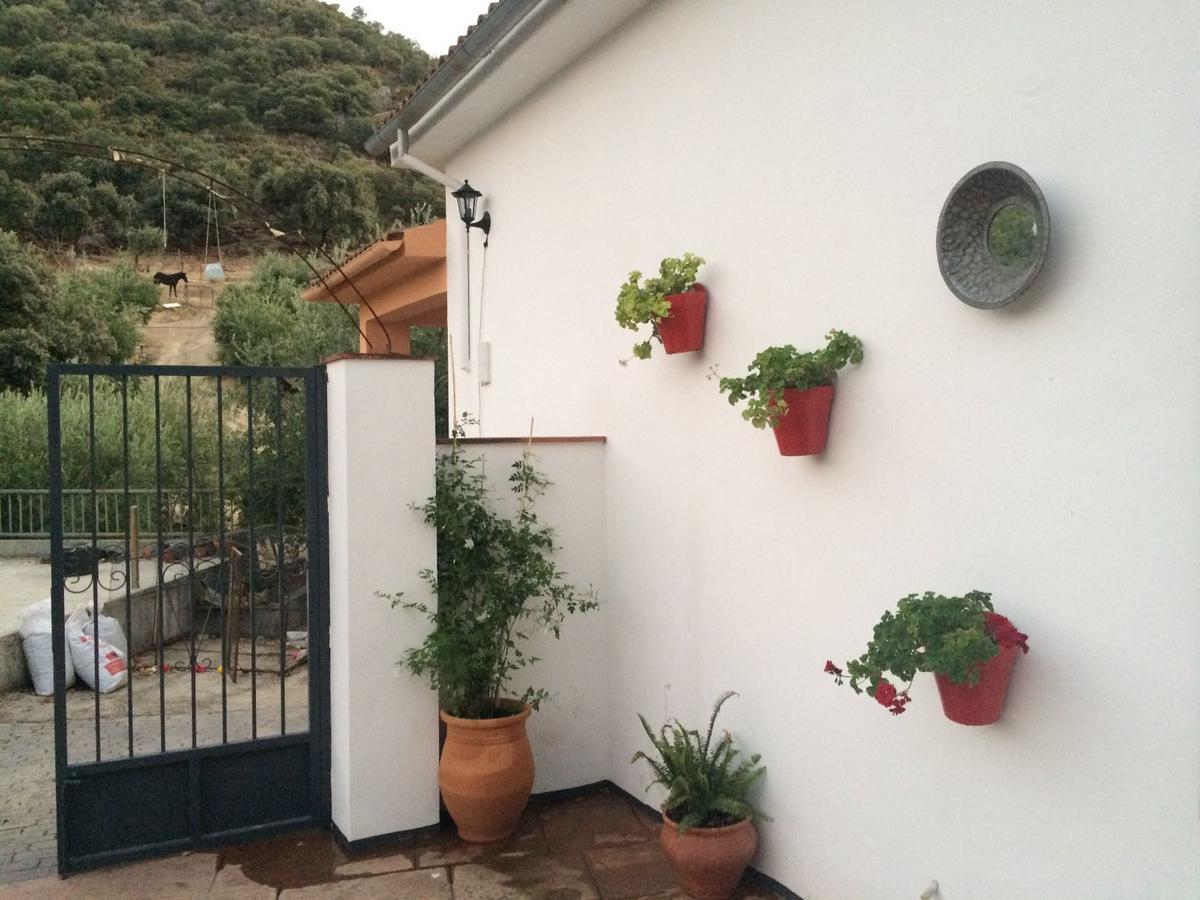 Villa La Quinta Priego de Córdoba Dış mekan fotoğraf
