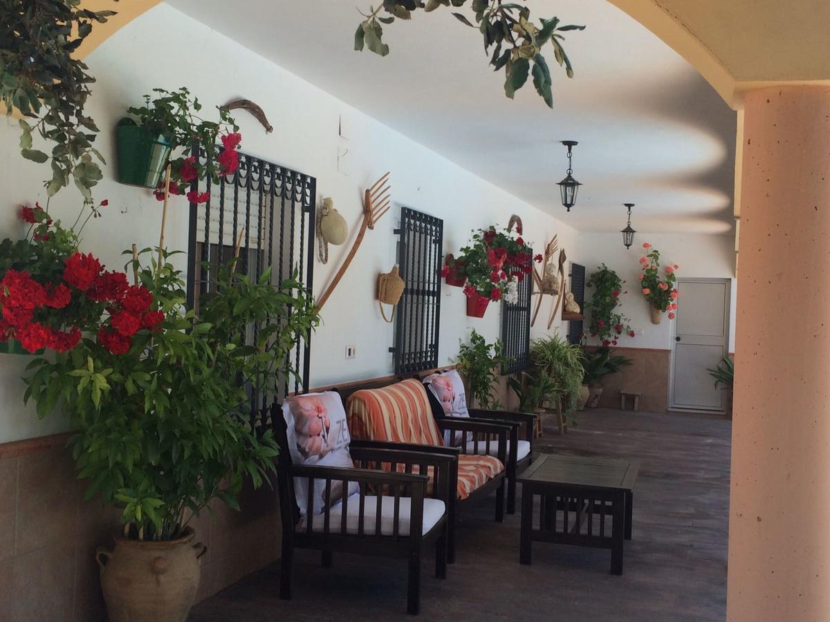 Villa La Quinta Priego de Córdoba Dış mekan fotoğraf