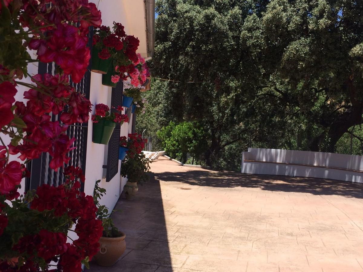 Villa La Quinta Priego de Córdoba Dış mekan fotoğraf