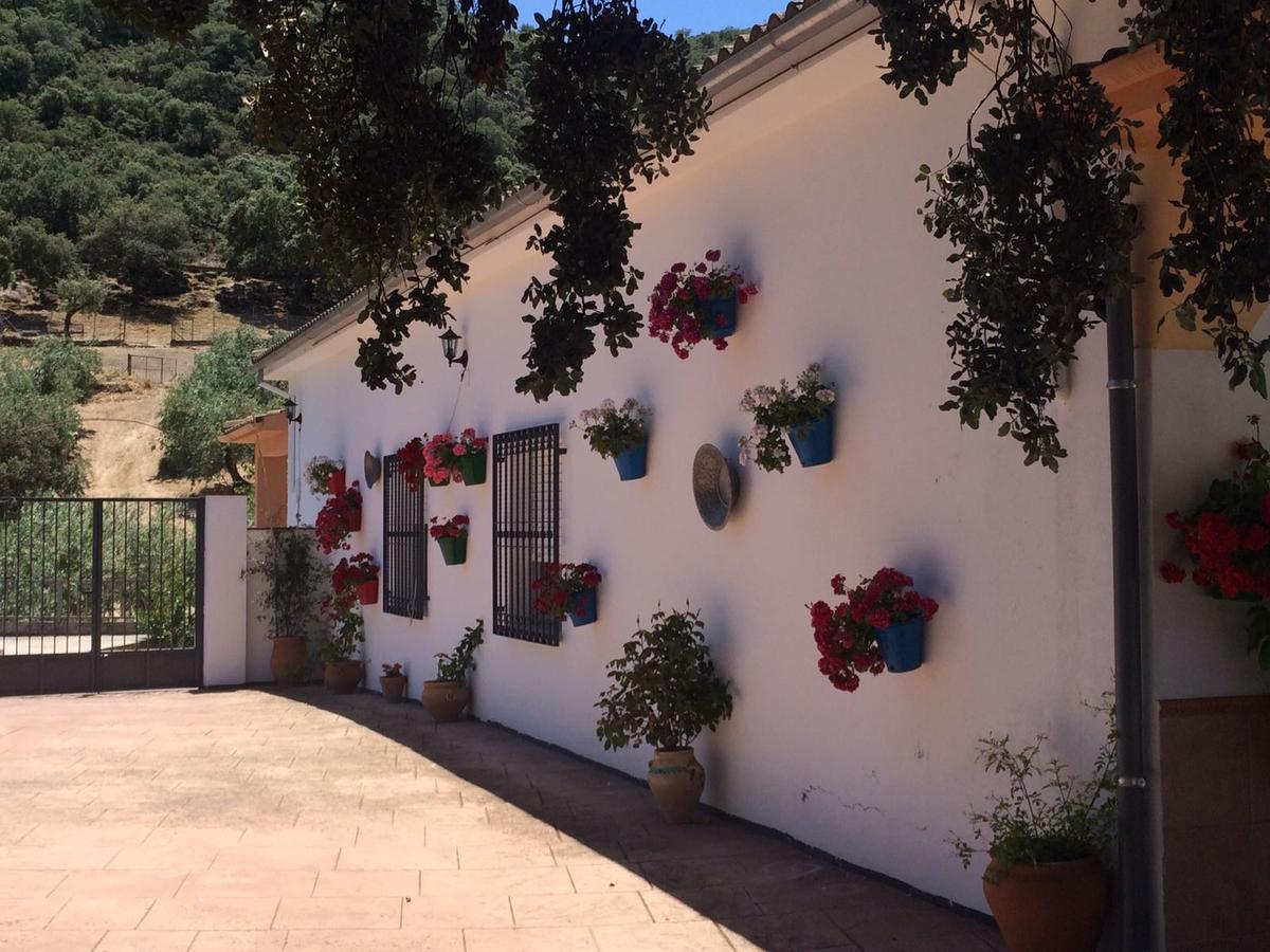 Villa La Quinta Priego de Córdoba Dış mekan fotoğraf