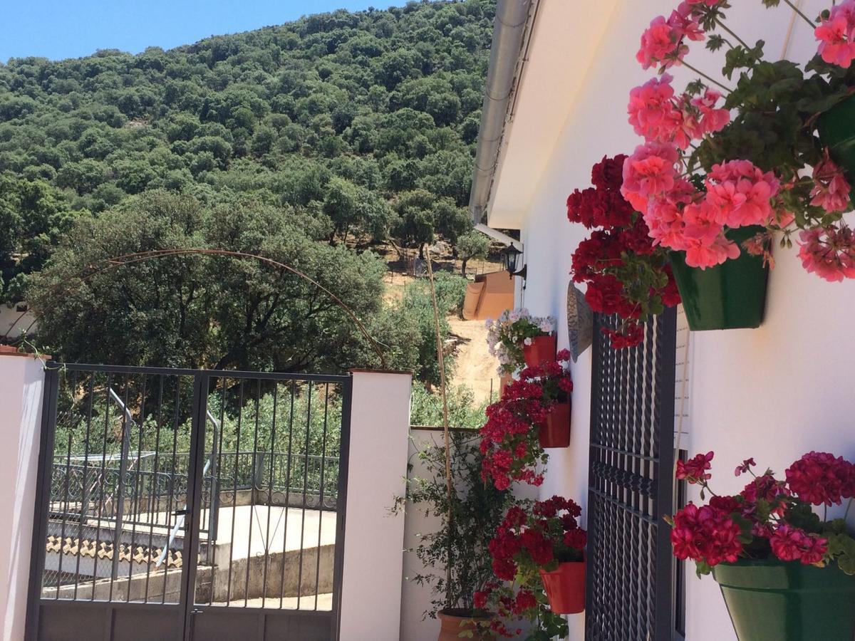Villa La Quinta Priego de Córdoba Dış mekan fotoğraf