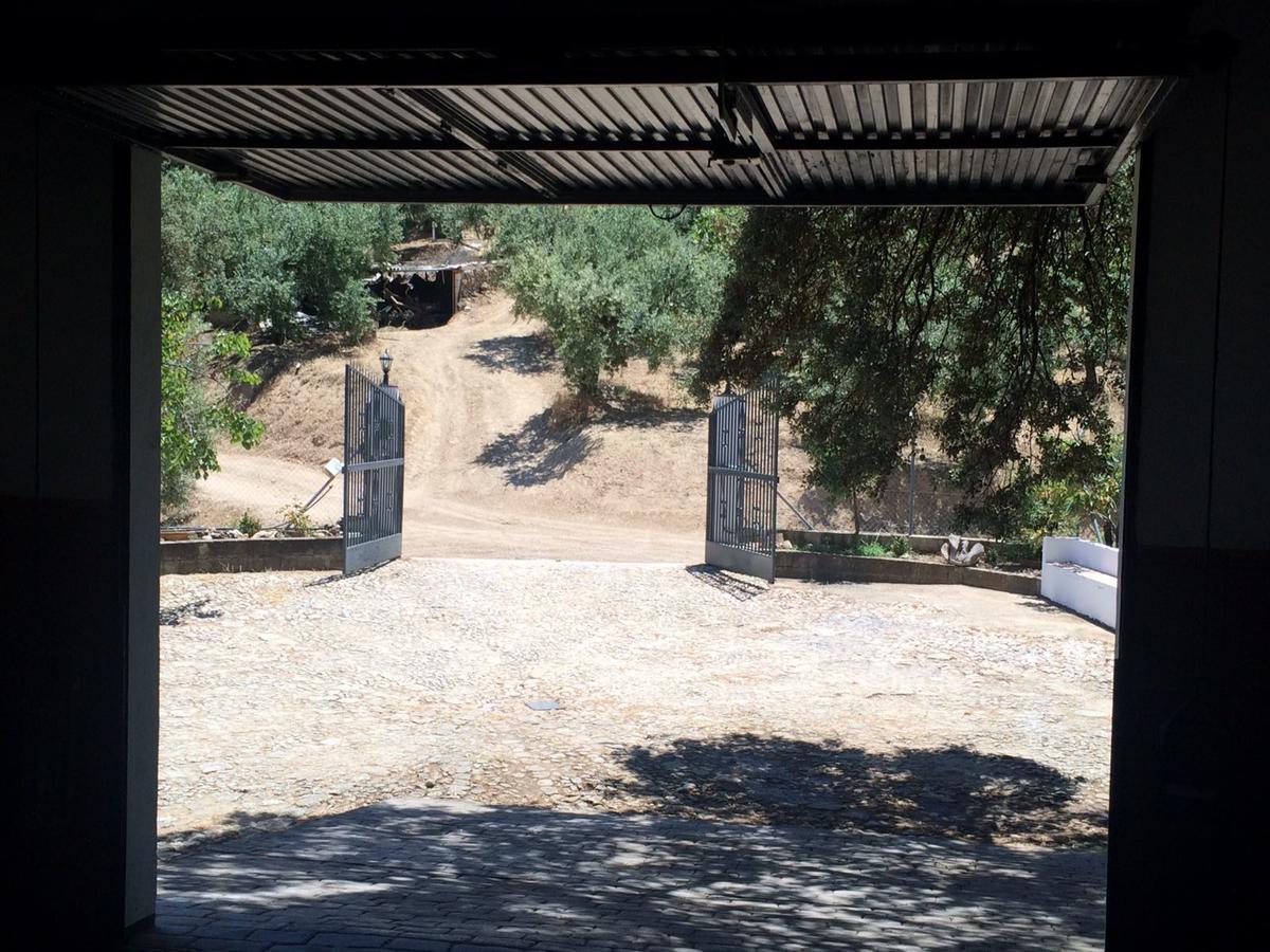 Villa La Quinta Priego de Córdoba Dış mekan fotoğraf