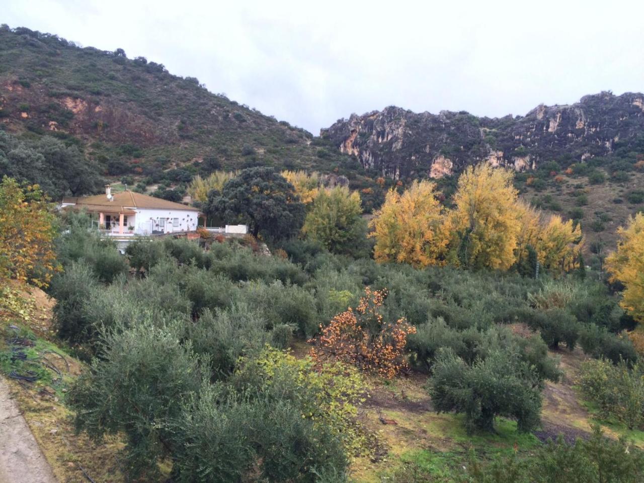 Villa La Quinta Priego de Córdoba Dış mekan fotoğraf